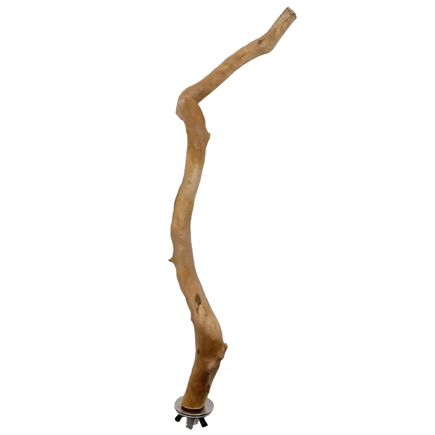Interactive Natural Wood Perch for Parrot Cage: Promotes Claw Health & Play