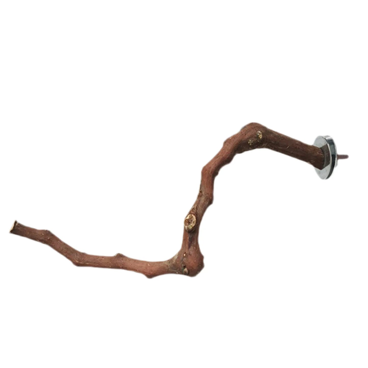Interactive Natural Wood Perch for Parrot Cage: Promotes Claw Health & Play