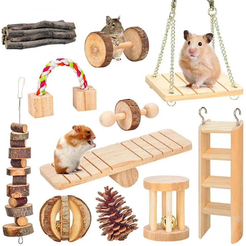 Natural Wooden Chew Toys for Small Pets | Rabbit, Guinea Pig, Rat Molars & Exercise Set