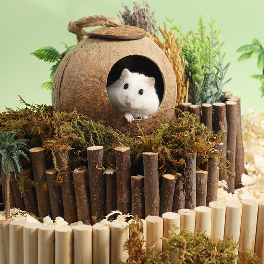 Natural Coconut Hideout House for Hamsters & Guinea Pigs.