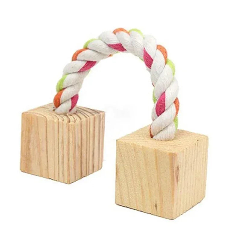 Natural Wooden Chew Toys for Small Pets | Rabbit, Guinea Pig, Rat Molars & Exercise Set