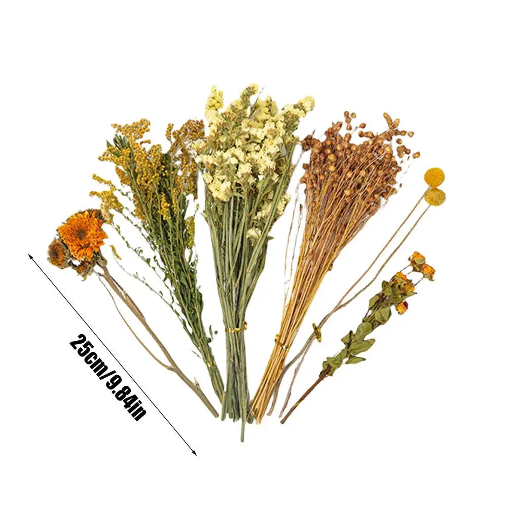 Natural Dried Flower Hamster Bedding, Hamster Accessories Small Pet Bedding Decor