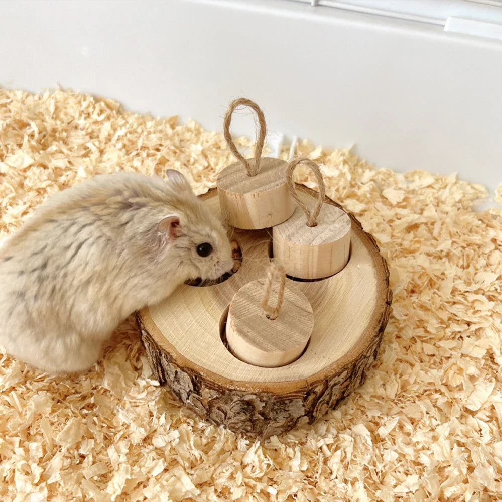 Wooden Chewing & Foraging Toy for Parrots, Hamsters & Small Birds | Round Educational Pet Supplies
