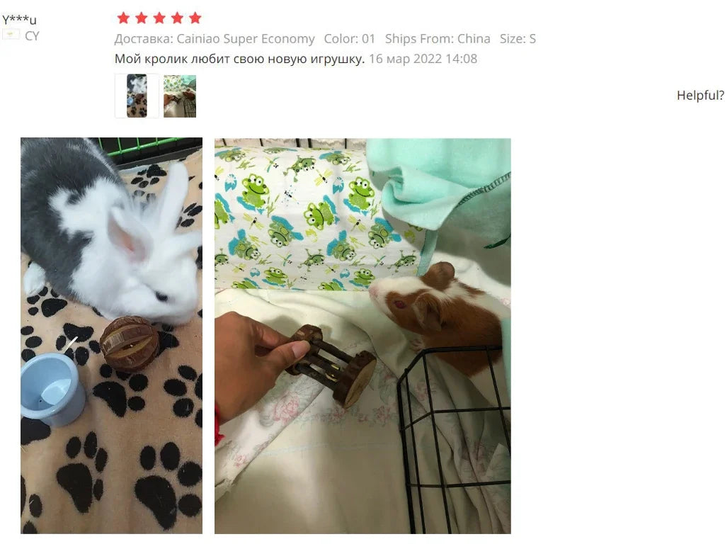 Natural Wooden Chew Toys for Small Pets | Rabbit, Guinea Pig, Rat Molars & Exercise Set