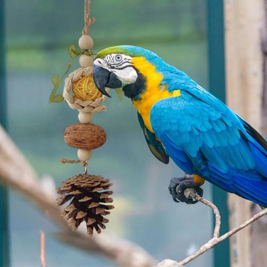 Rattan & Wood Bite Toy for Parrots & Rodents