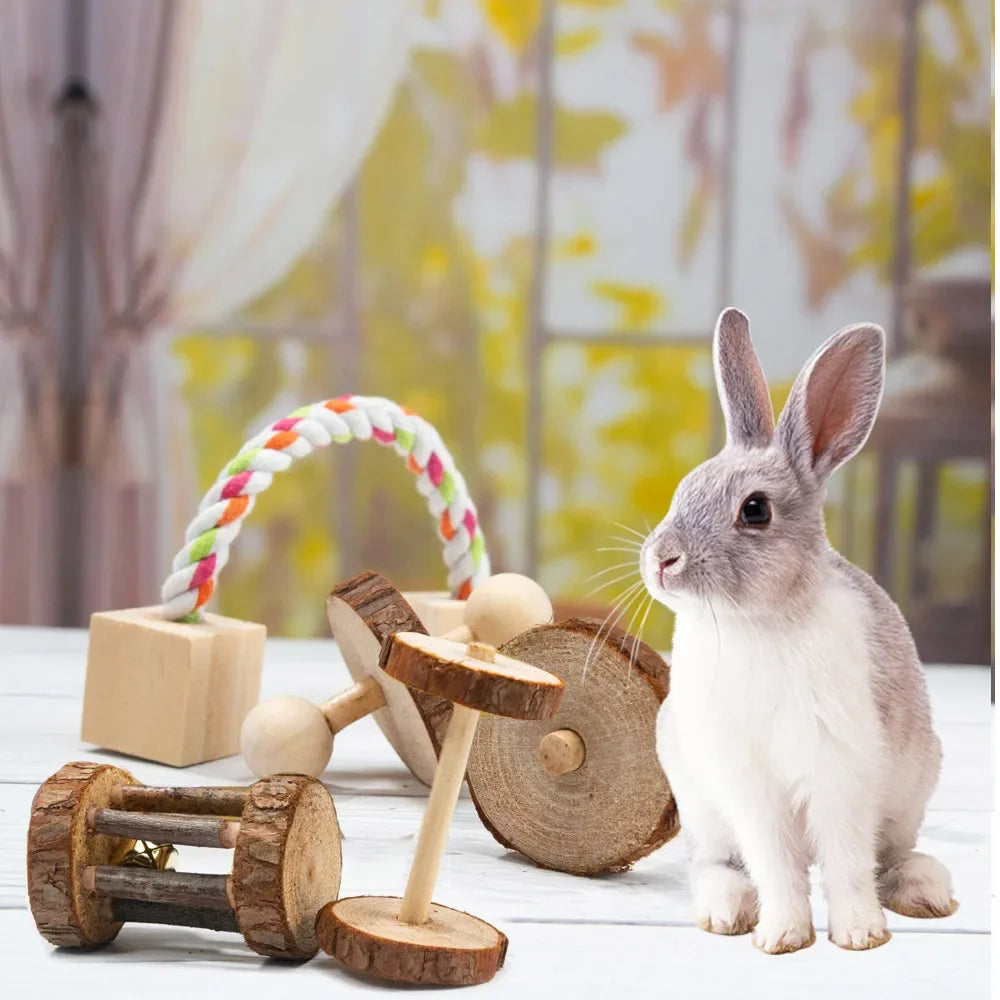 Natural Wooden Chew Toys for Small Pets | Rabbit, Guinea Pig, Rat Molars & Exercise Set