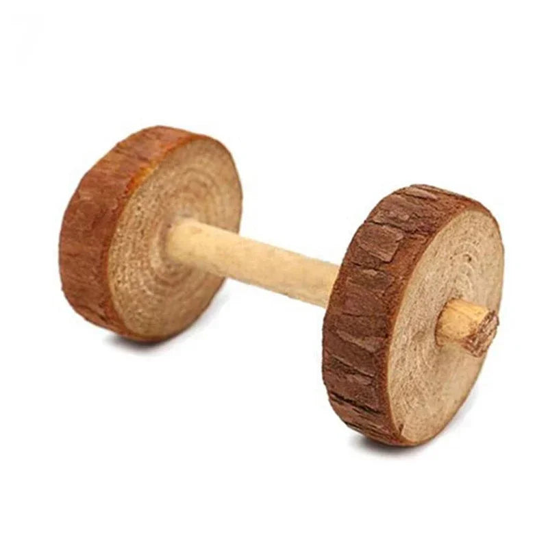 Natural Wooden Chew Toys for Small Pets | Rabbit, Guinea Pig, Rat Molars & Exercise Set