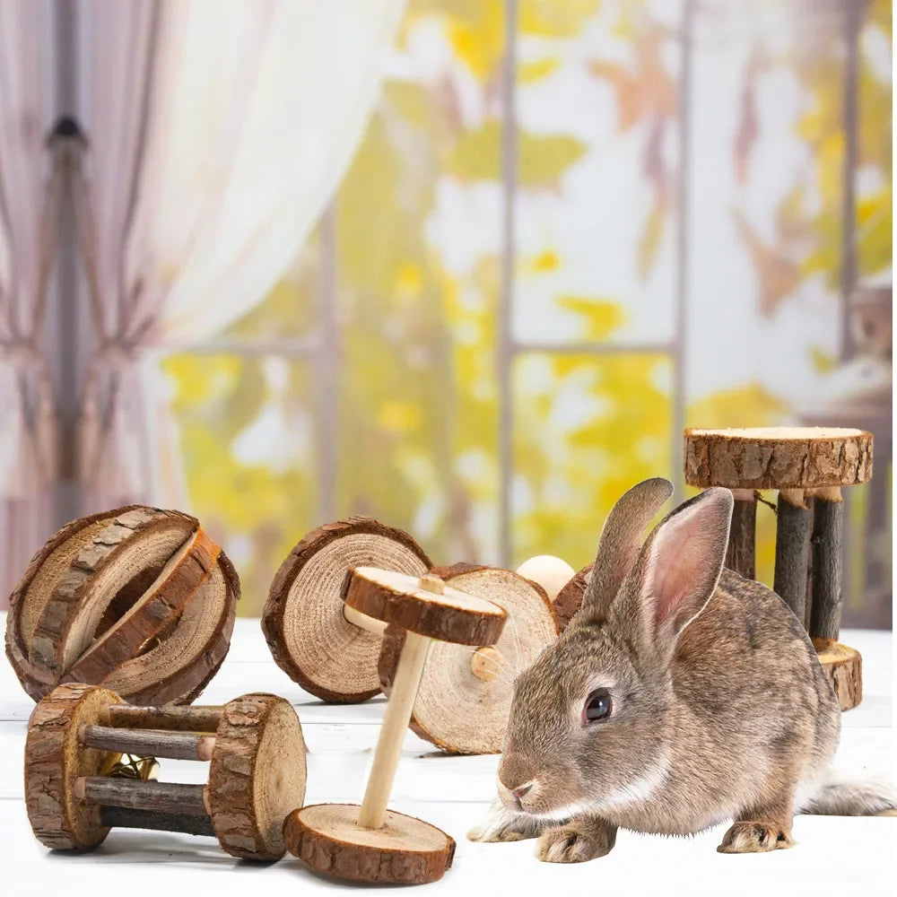 Natural Wooden Chew Toys for Small Pets | Rabbit, Guinea Pig, Rat Molars & Exercise Set