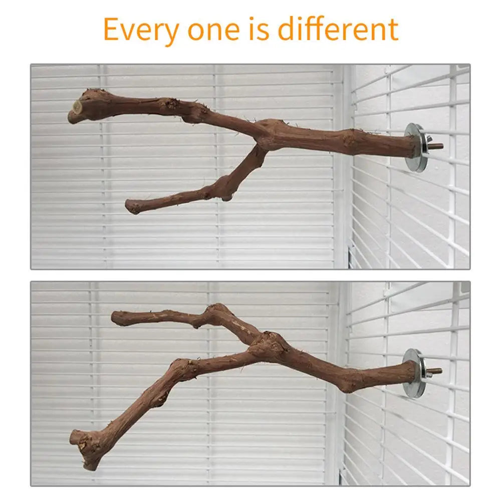 Interactive Natural Wood Perch for Parrot Cage: Promotes Claw Health & Play