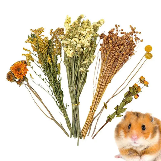 Natural Dried Flower Hamster Bedding, Hamster Accessories Small Pet Bedding Decor