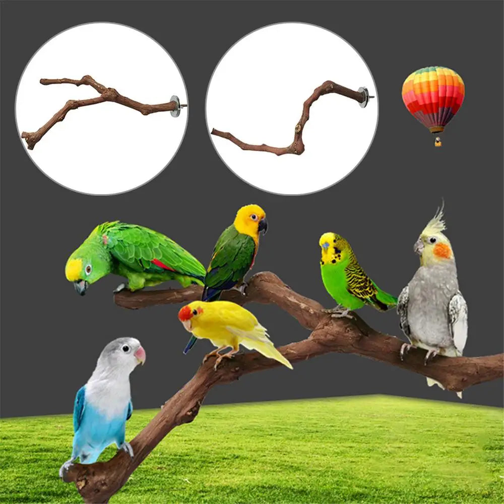 Interactive Natural Wood Perch for Parrot Cage: Promotes Claw Health & Play