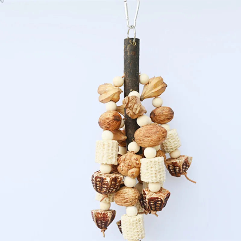 Bird Chew Toy with Pinecones, Cuttlefish Bone & Beech Wood
