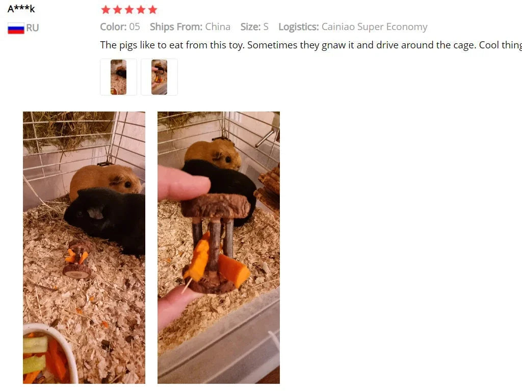 Natural Wooden Chew Toys for Small Pets | Rabbit, Guinea Pig, Rat Molars & Exercise Set