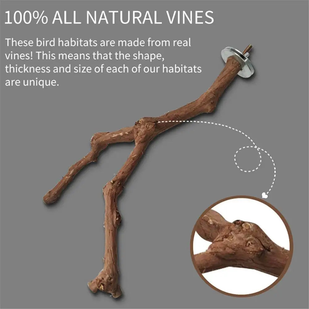 Interactive Natural Wood Perch for Parrot Cage: Promotes Claw Health & Play