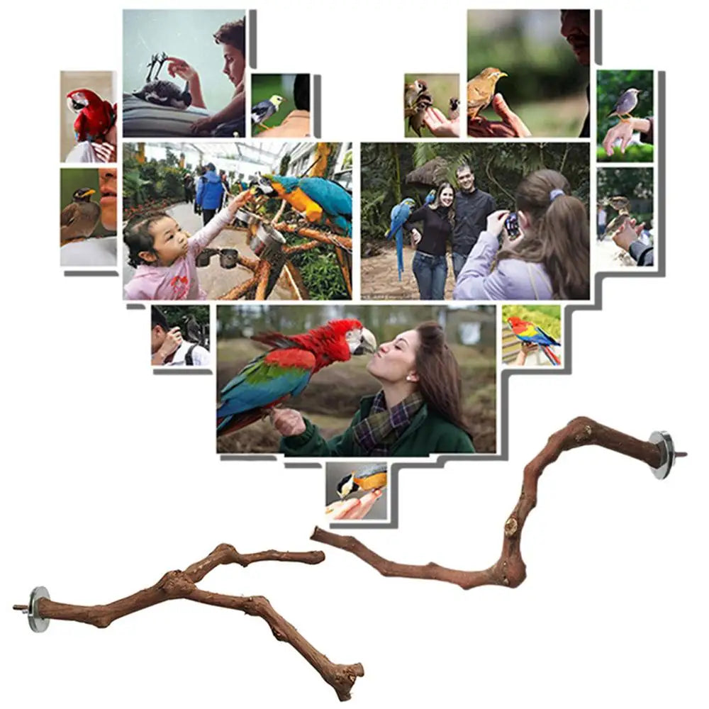 Interactive Natural Wood Perch for Parrot Cage: Promotes Claw Health & Play