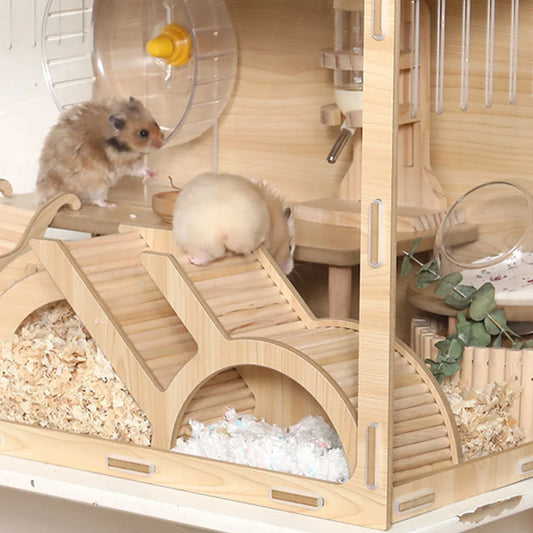 Beyond the Basics: Essential Enrichment Ideas for Your Small Companion
