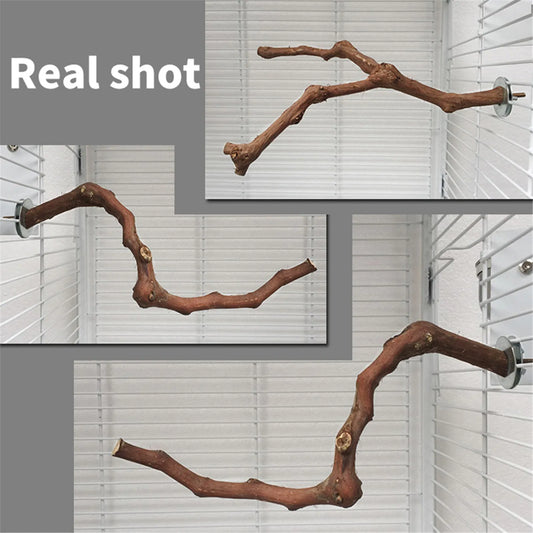 Interactive Natural Wood Perch for Parrot Cage: Promotes Claw Health & Play