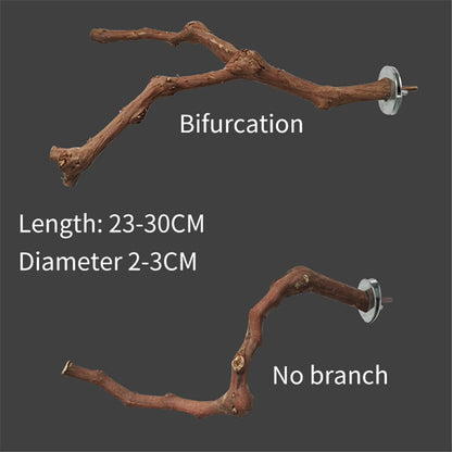 Interactive Natural Wood Perch for Parrot Cage: Promotes Claw Health & Play