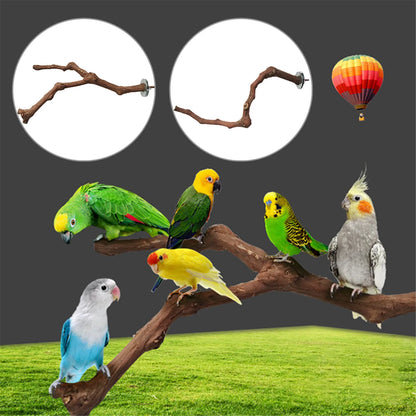 Interactive Natural Wood Perch for Parrot Cage: Promotes Claw Health & Play