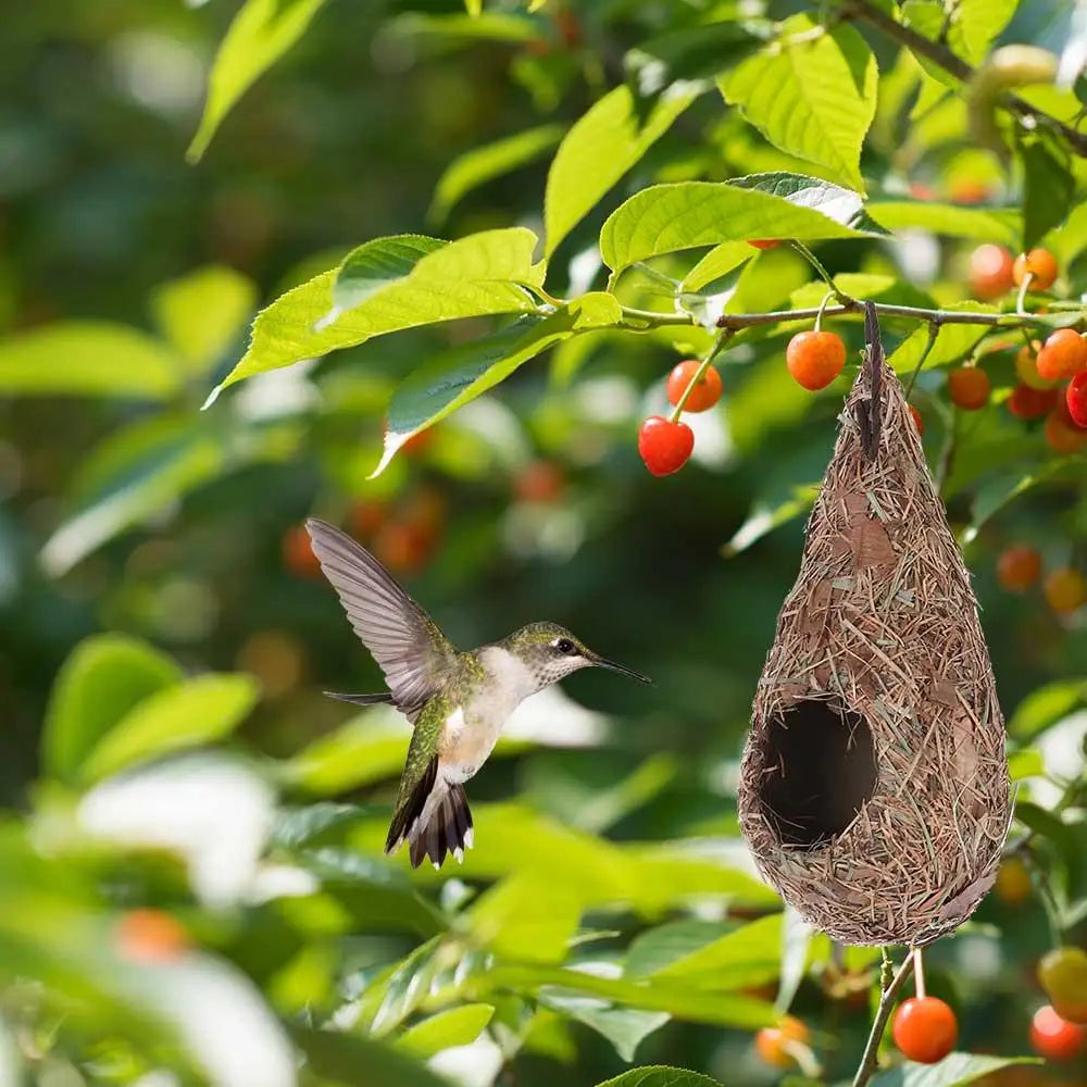 Hand-Woven Natural Grass Bird Nest: Cozy roosting hut for hummingbirds and yard decor. (1 or 2 pack)