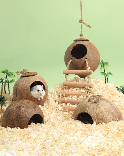 Natural Coconut Hideout House for Hamsters & Guinea Pigs.