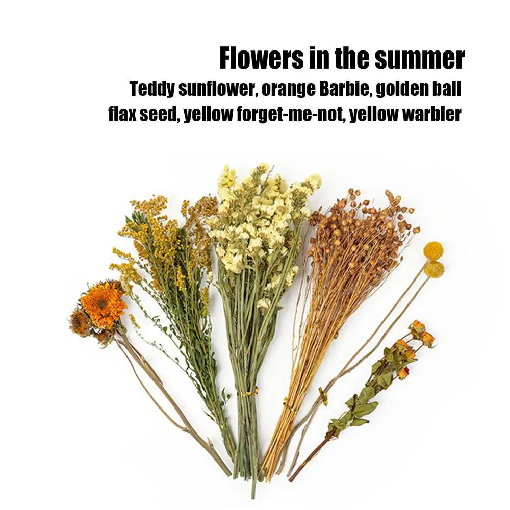 Natural Dried Flower Hamster Bedding, Hamster Accessories Small Pet Bedding Decor