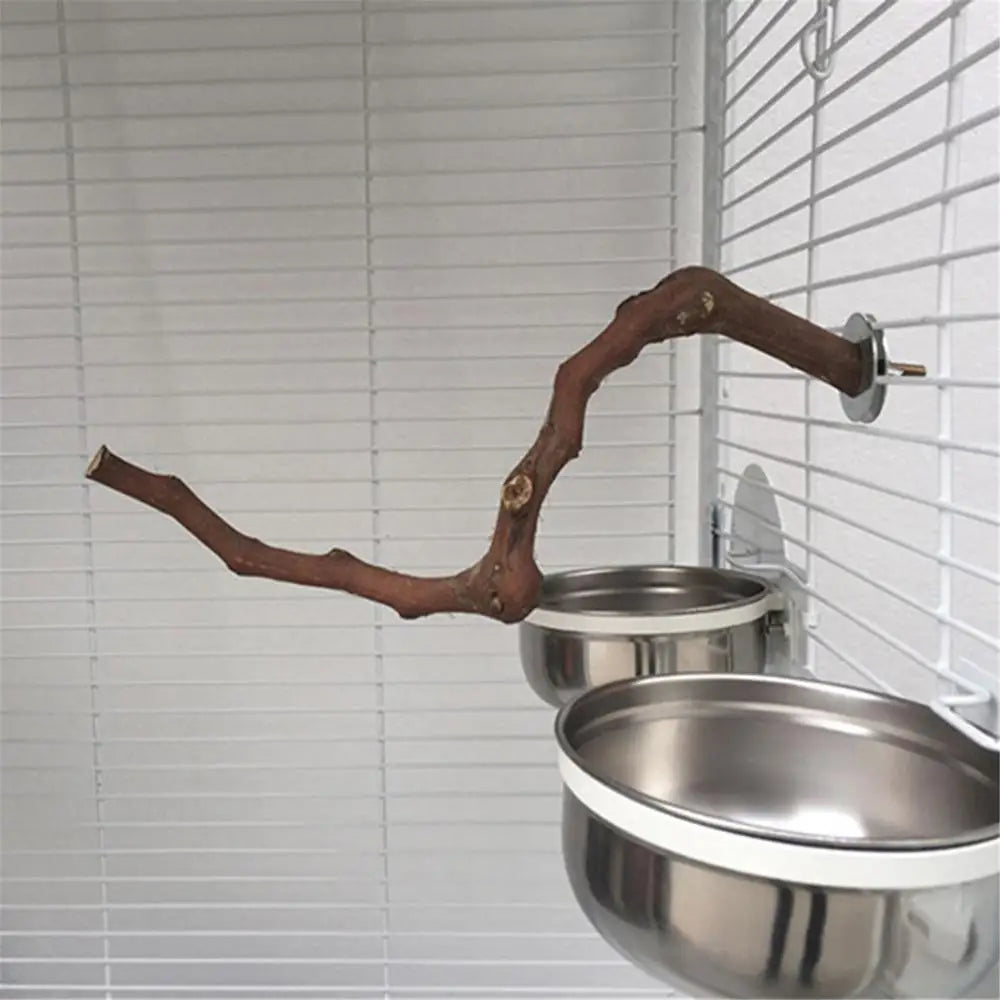 Interactive Natural Wood Perch for Parrot Cage: Promotes Claw Health & Play