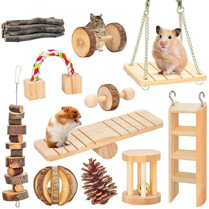 Natural Wooden Chew Toys for Small Pets | Rabbit, Guinea Pig, Rat Molars & Exercise Set