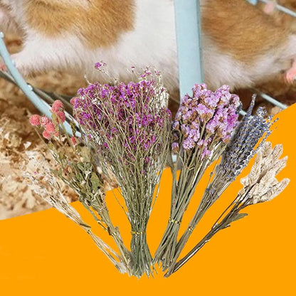 Natural Dried Flower Hamster Bedding, Hamster Accessories Small Pet Bedding Decor