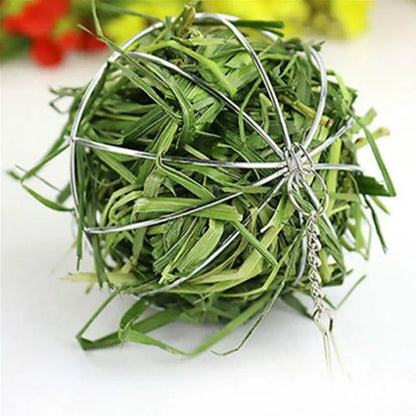 Multi-Purpose Hanging Hay & Grass Ball Feeder for Rabbits, Guinea Pigs & Chinchillas