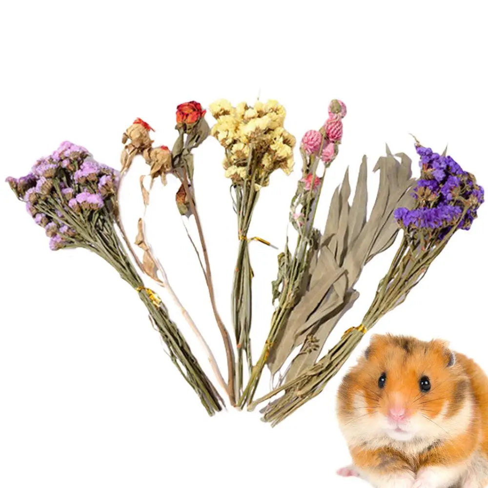 Natural Dried Flower Hamster Bedding, Hamster Accessories Small Pet Bedding Decor