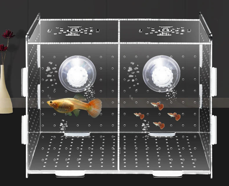 Acrylic Fish Isolation & Breeding Box for Aquarium - Ideal for Small Fry, Spawning, and Hatching
