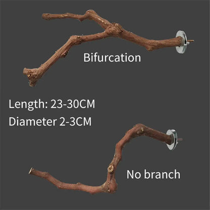 Interactive Natural Wood Perch for Parrot Cage: Promotes Claw Health & Play