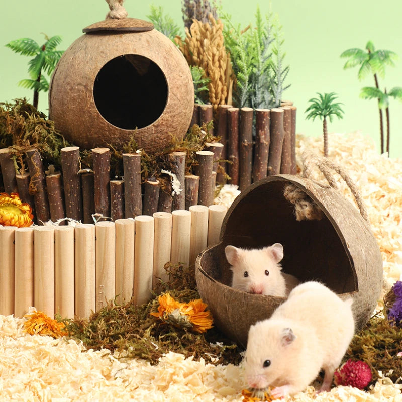 Natural Coconut Hideout House for Hamsters & Guinea Pigs.