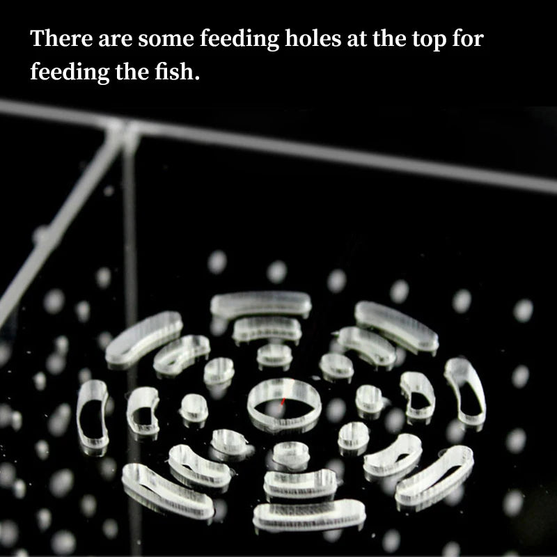 Acrylic Fish Isolation & Breeding Box for Aquarium - Ideal for Small Fry, Spawning, and Hatching