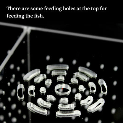 Acrylic Fish Isolation & Breeding Box for Aquarium - Ideal for Small Fry, Spawning, and Hatching