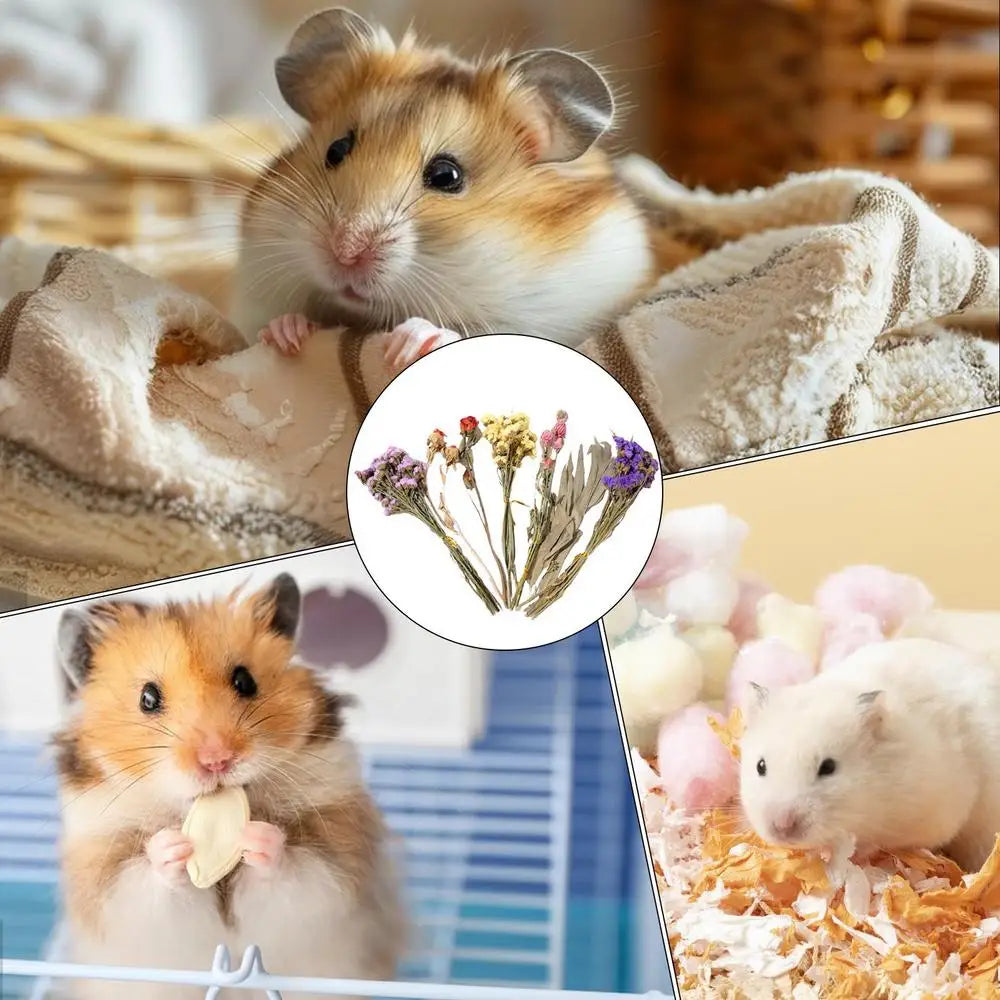Natural Dried Flower Hamster Bedding, Hamster Accessories Small Pet Bedding Decor