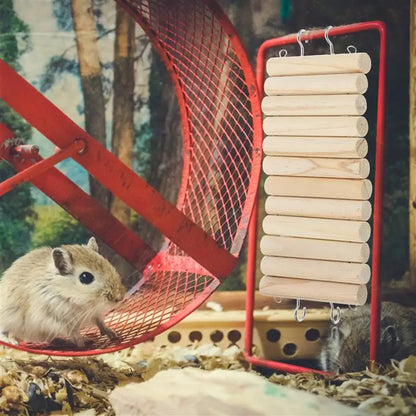 Multi-Pet Climbing Ladder & Fence | Hamster, Guinea Pig, Bird Cage Toy & Playground