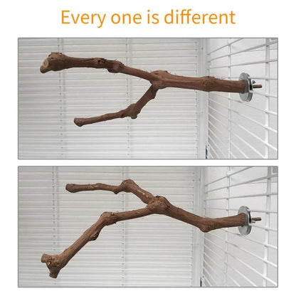 Interactive Natural Wood Perch for Parrot Cage: Promotes Claw Health & Play