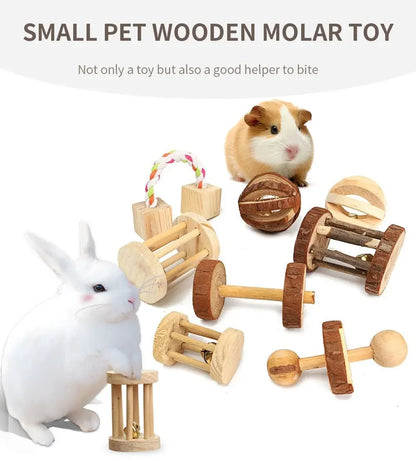 Natural Wooden Chew Toys for Small Pets | Rabbit, Guinea Pig, Rat Molars & Exercise Set