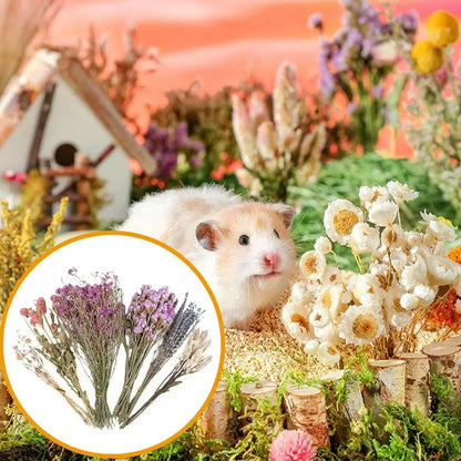 Natural Dried Flower Hamster Bedding, Hamster Accessories Small Pet Bedding Decor