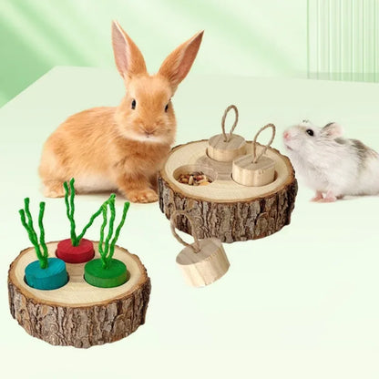 Wooden Chewing & Foraging Toy for Parrots, Hamsters & Small Birds | Round Educational Pet Supplies