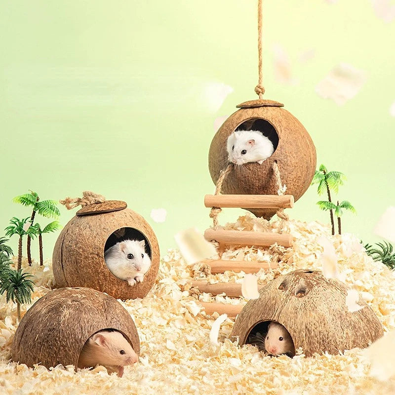 Natural Coconut Hideout House for Hamsters & Guinea Pigs.