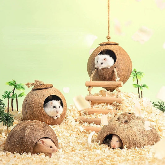 Natural Coconut Hideout House for Hamsters & Guinea Pigs.