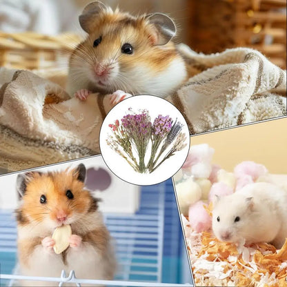 Natural Dried Flower Hamster Bedding, Hamster Accessories Small Pet Bedding Decor