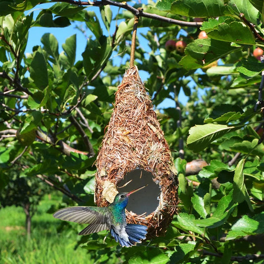 Hand-Woven Natural Grass Bird Nest: Cozy roosting hut for hummingbirds and yard decor. (1 or 2 pack)
