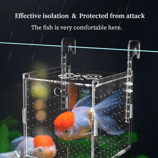 Acrylic Fish Isolation & Breeding Box for Aquarium - Ideal for Small Fry, Spawning, and Hatching