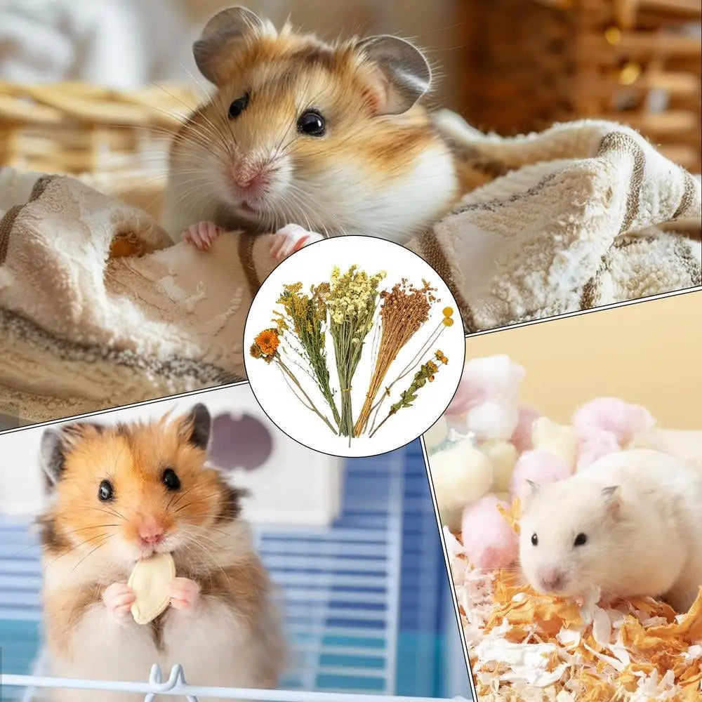 Natural Dried Flower Hamster Bedding, Hamster Accessories Small Pet Bedding Decor