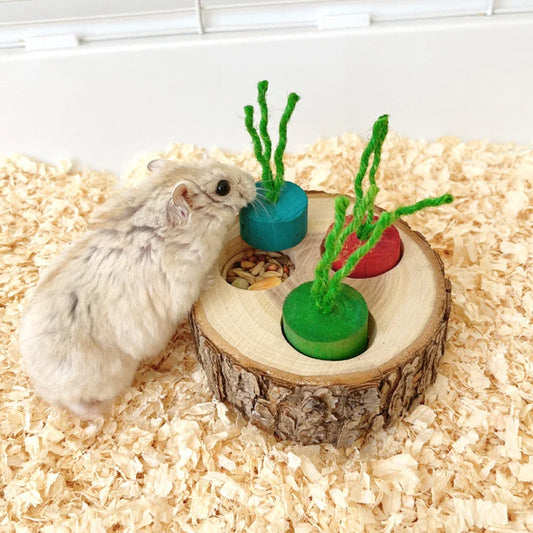Wooden Chewing & Foraging Toy for Parrots, Hamsters & Small Birds | Round Educational Pet Supplies